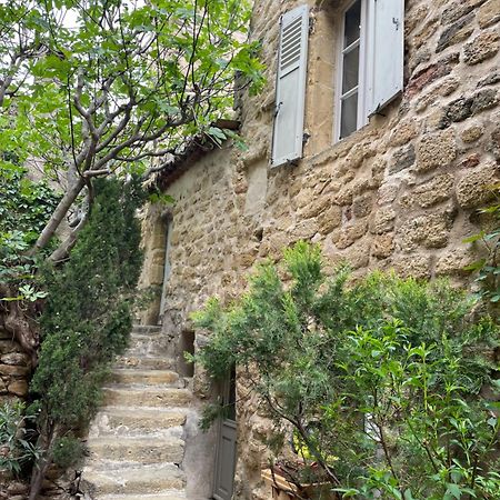 Le Petit Egregore, Patio Et Climatisation Lauris Exterior foto